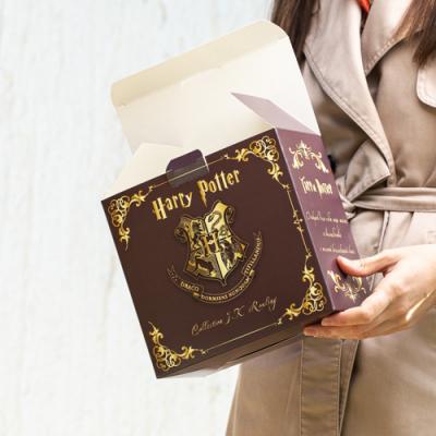 Арт.2104_Розм.210х195х110_mm_Harry_Potter_1