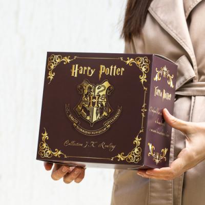 Арт.2104_Розм.210х195х110_mm_Harry_Potter